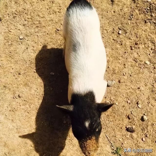 收藏贴！带您玩转潍坊的湖光水色