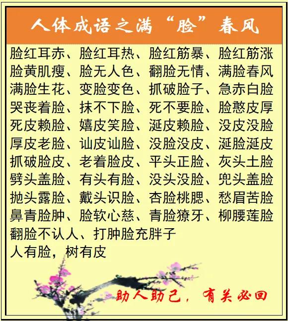 人体部位名称成语之脸、面、耳、鼻