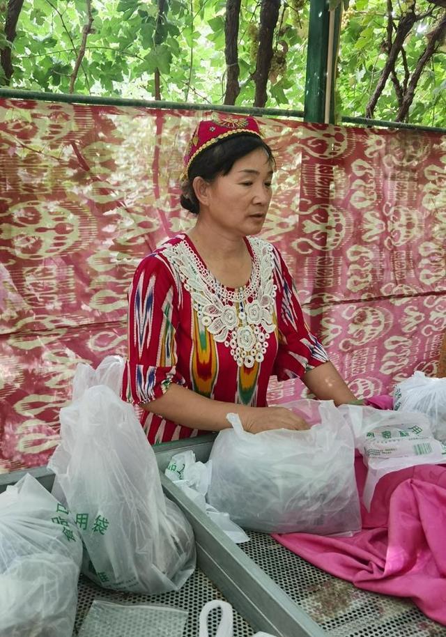 游新疆吐鲁番的坎儿井和葡萄沟