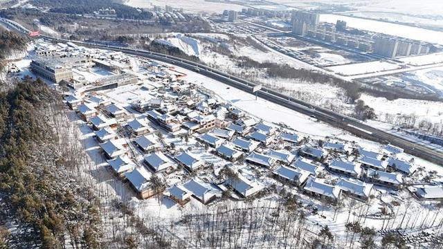 雪漫边境！龙井的冬日藏着冰与暖的双重浪漫