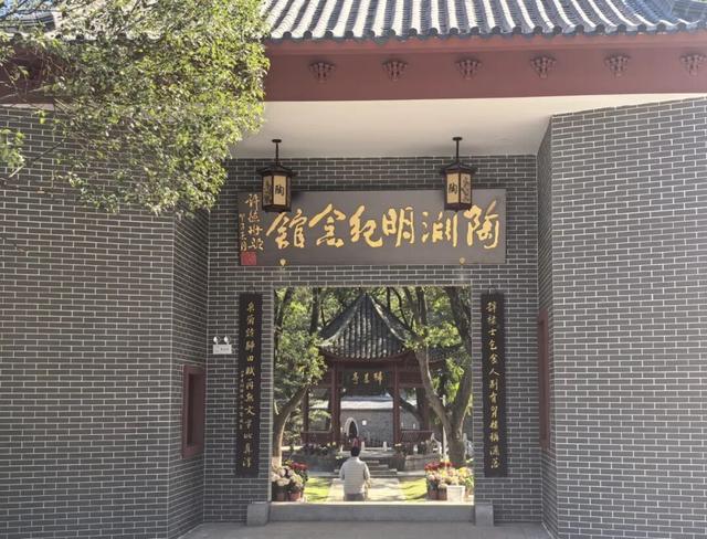 太美了！九江人私藏的赏菊地，错过等一年