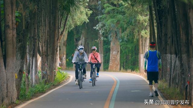 寻找旅居晋宁的密码