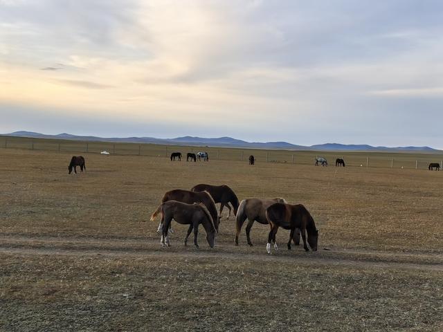 🍂呼伦贝尔深秋自驾游参考攻略
