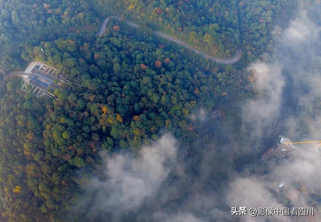 四川雅安：碧峰峡风光旖旎引客来