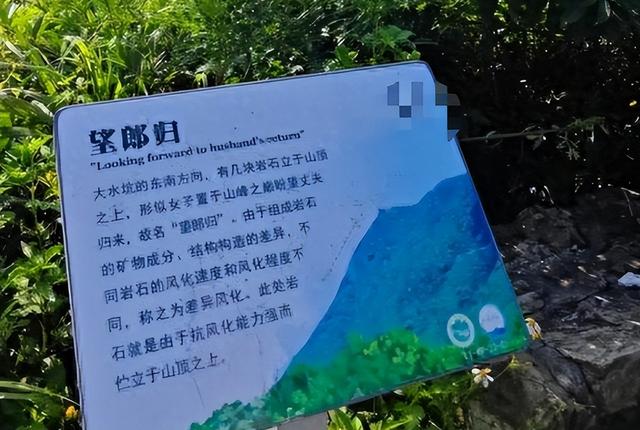 27岁蔡磊已找到！被曝现场惨不忍睹 尸体身首分离，哥哥发声引争议