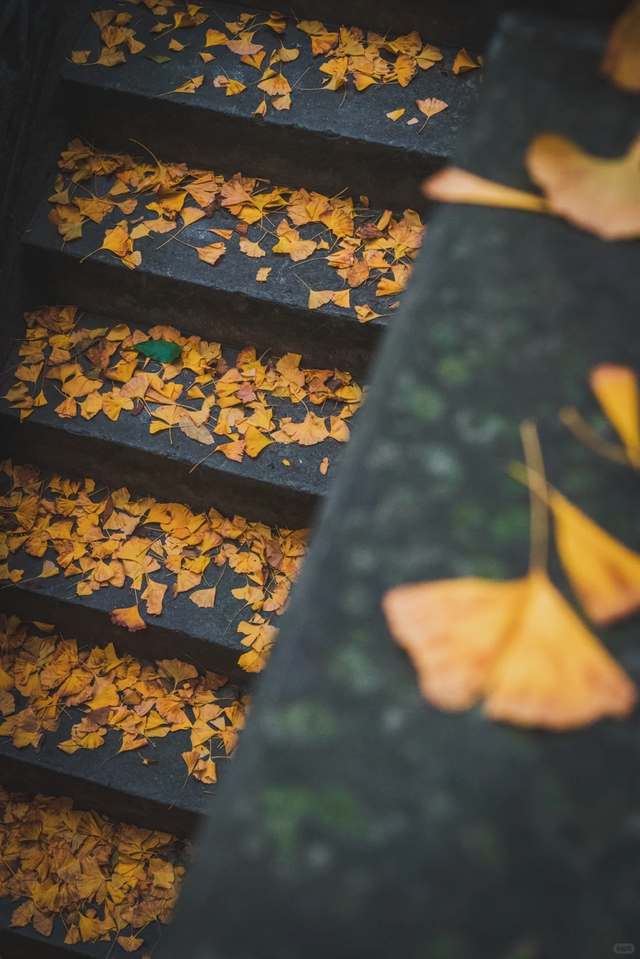老君山，美美相约！