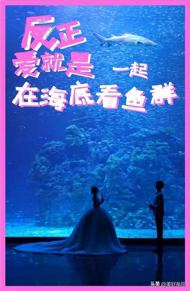 今日宜“疯狂”消费浪漫，反正爱就是______