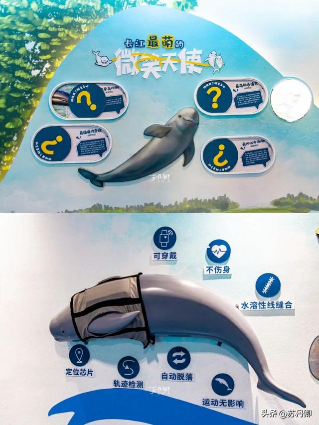 这座没有高铁的小城市，拥有湖北省最大湖泊：武汉周边的度假胜地