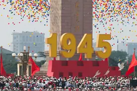 和平鸽：任务完成，已到家！图片