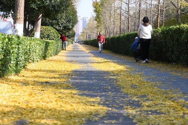 西安大明宫里邂逅初冬暖阳
