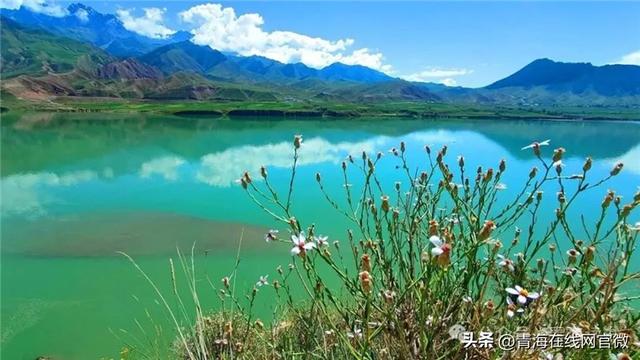 【青海在线网·散文】《祁连美》系列——黑河第一湾