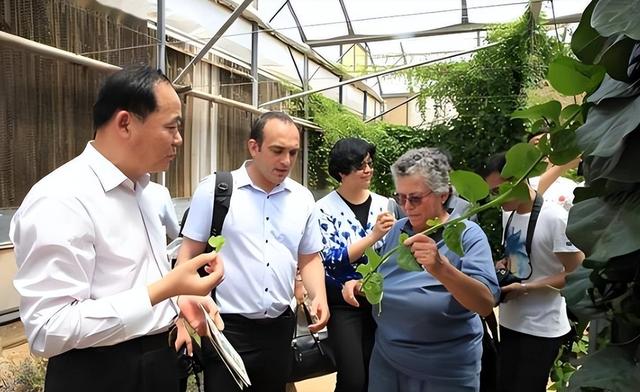 央媒通报！又一间谍行为曝光，作案手法阴险，粮食安全受威胁