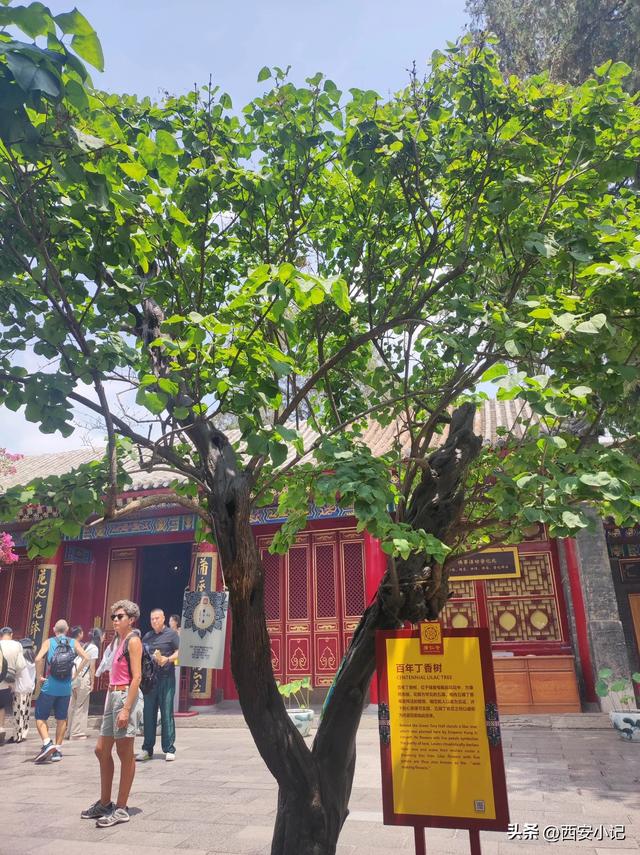 西安最值得一去的寺庙，不花钱却上香祈福全有，康熙乾隆亲笔题字