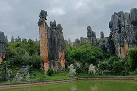 各省您可能不知道的冷知识——云南省图片