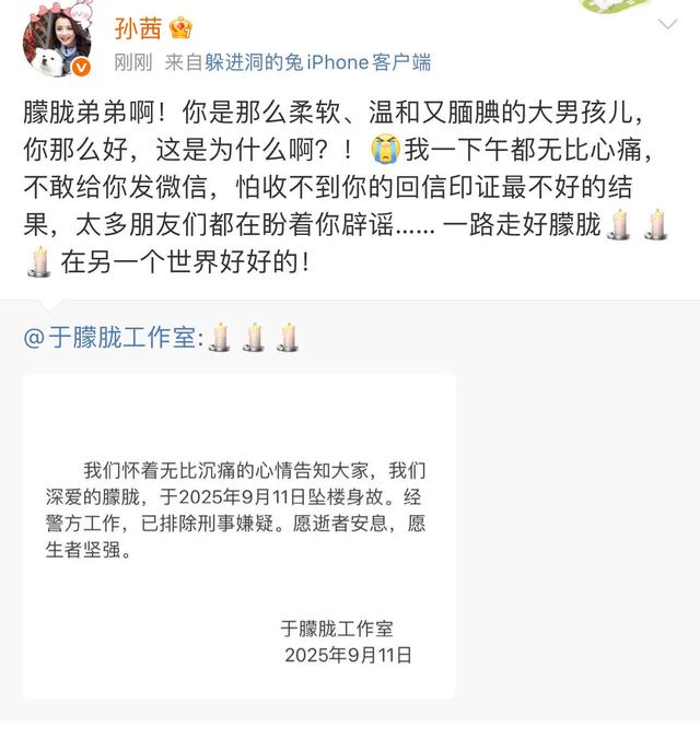 众星发文悼念于朦胧