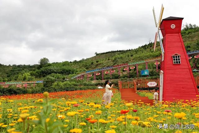 【青山绿水 只此清水】清水：盛夏清水好风光 特色景点吸引八方游客