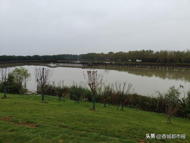 微度假自然秘境，迎接四面八方游客——咸宁向阳湖国家湿地公园即将焕新开园