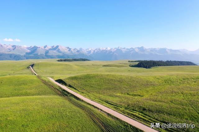 伊犁：中国西北的人间仙境，800公里风景长廊，藏着世间所有美好