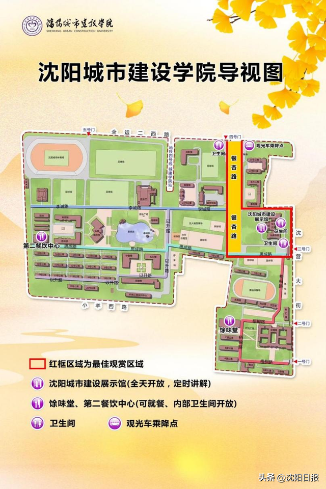 沈阳南部高校藏着不一样的秋日浪漫！不只赏银杏，还有～
