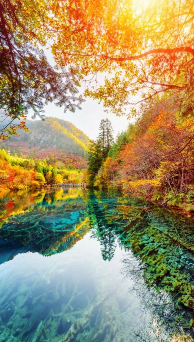 45张九寨沟最美风景手机壁纸