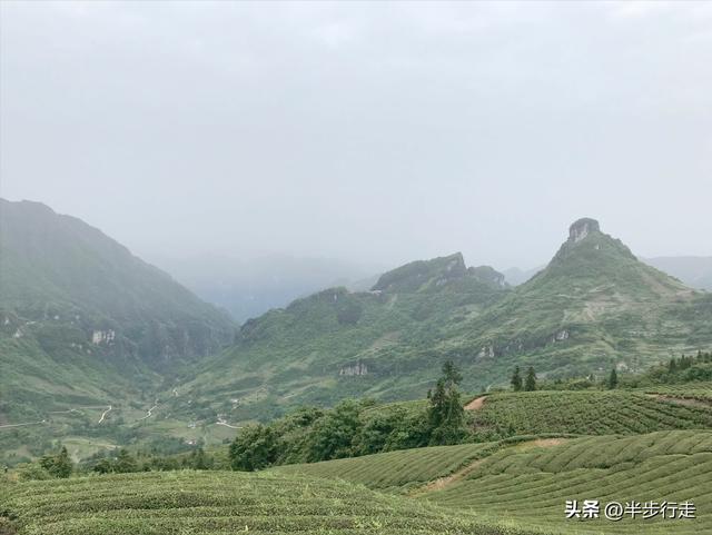 湘鄂边城：石门南镇、鹤峰北镇，四大山区景点一次游览攻略