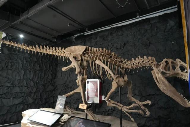 临沂初冬“热”出圈！打卡攻略赶紧码