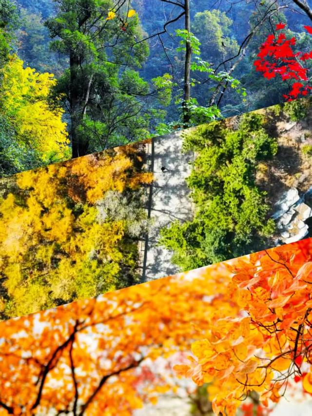 白露凝秋光，沂蒙藏诗意——解锁临沂景区里的 “晶莹秋日”