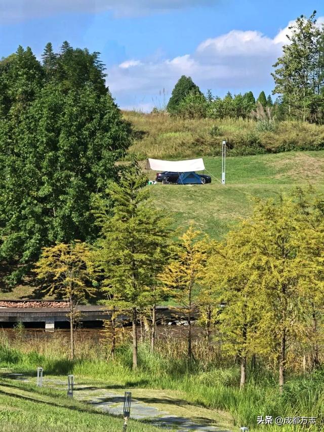 注意！这不是油画，而是成都的彩色秋天！