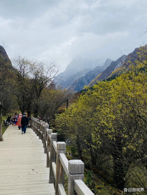 四姑娘山长坪沟徒步全攻略，47000步走到木骡子，附避坑指南