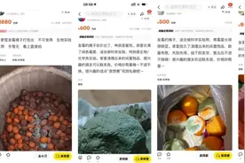 发霉橘子标价上千元？专家：“仙气橘子”是“霉菌炸弹”！图片