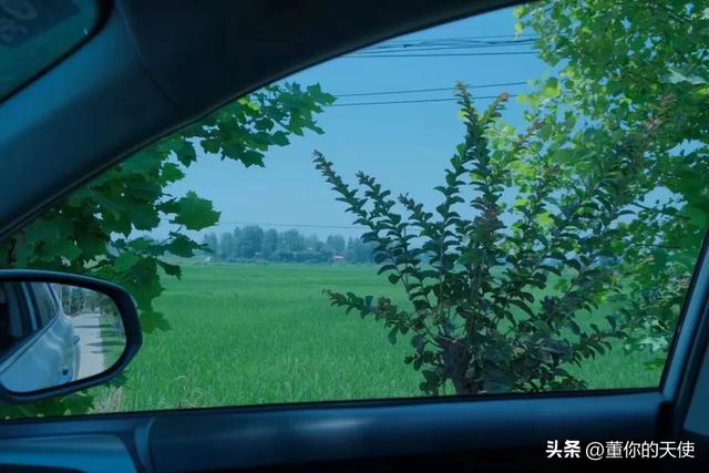 真信了!去了一趟信阳后,终于接受信阳不像是河南城市这话了!