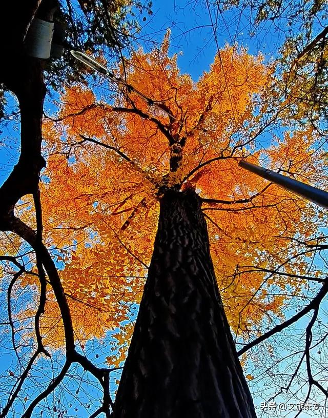泰安这里景色正惊艳!满足你对秋天的一切美好想象!