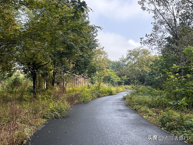 成都被冷落的彩林公园，惊艳无比，不要门票，地铁公交车直达！