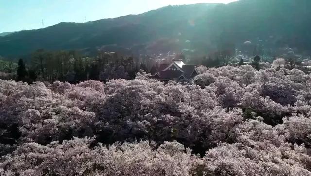 日本古都——奈良