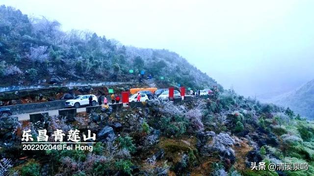 云岩青莲记