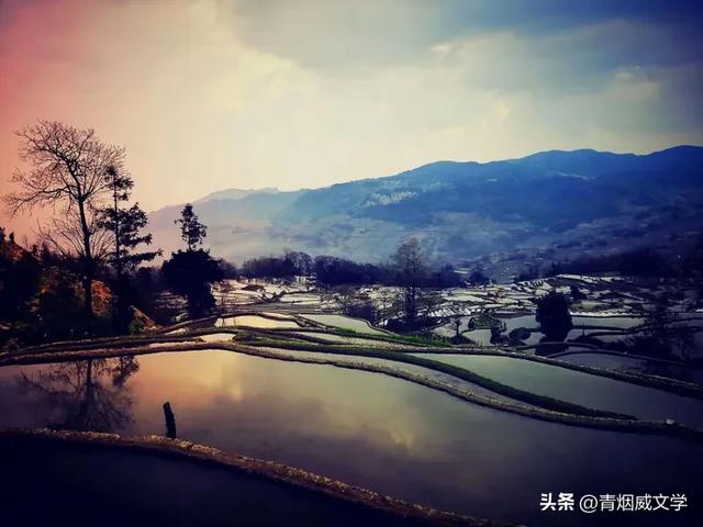 旧时光里打捞的梯田光影