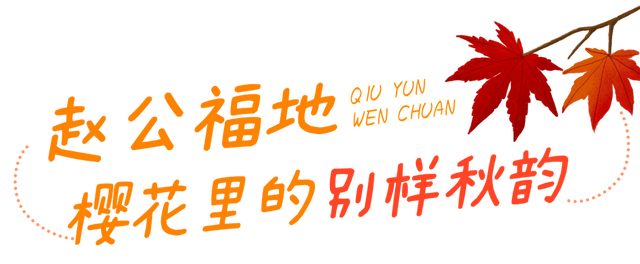 绝美秋色即将上线｜汶川的秋天，不加滤镜都美醉~