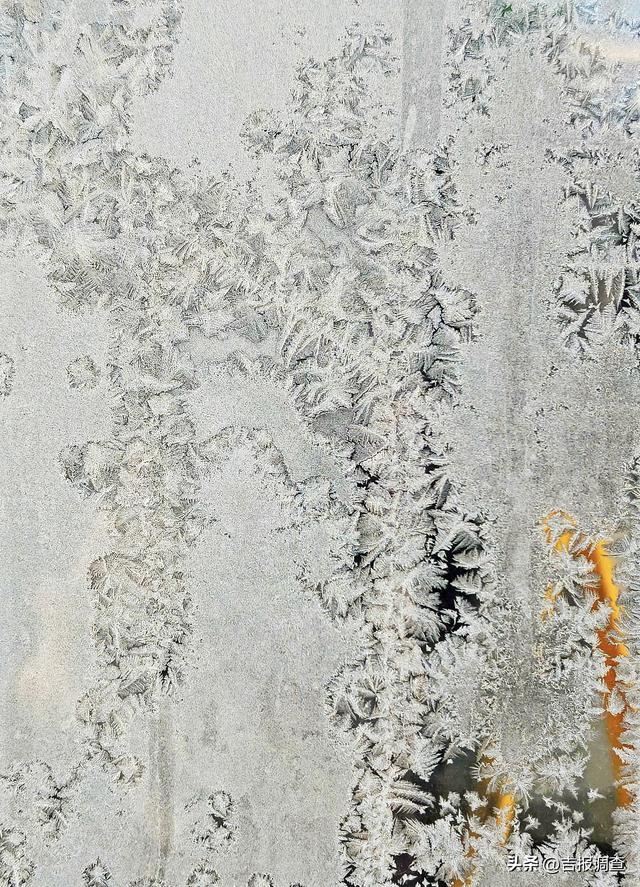 天寒地冻的东北，藏着最美的冰窗花！