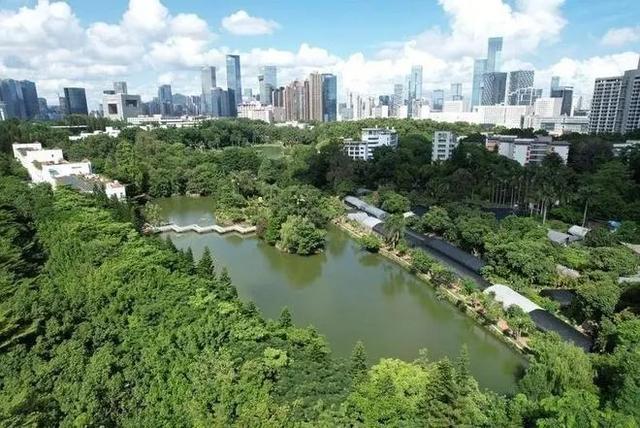 全国十大最美校内湖盘点