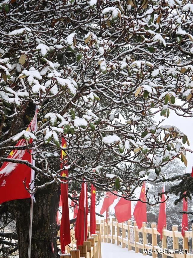 雷古山初雪：云端之上的冰雪絮语