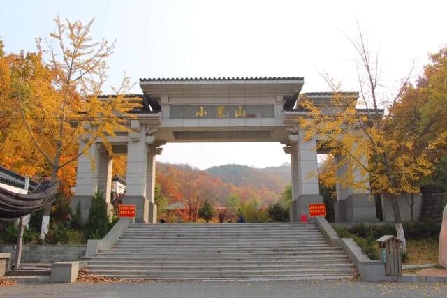 金普山色“杠杠好”，重阳攀登“步步高”