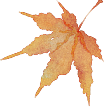 四川旺苍县红叶“高颜值”，撬动旅游“高价值”