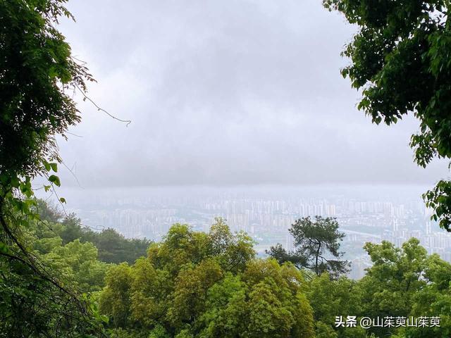 2023年春重庆探亲记（六）