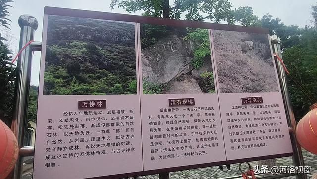 龙潭寺探幽 || 好梦萦回