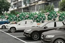 私装地锁、毁绿种菜……小区乱象屡禁不止！怎么办？图片