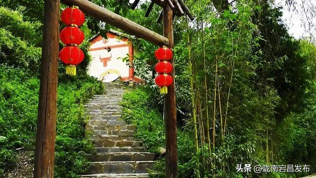 避暑胜地·康养宕昌｜宕昌民宿：诗意与康养交织的旅居之所