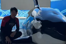 月入过万！一公园带薪“摸鱼”岗全国招聘，无需专业背景图片