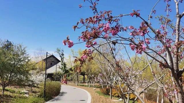 河北一景区官宣：全国游客免门票