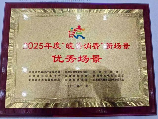 喜报!大灵山旅游度假区荣获“2025年度皖美消费”优秀场景! | 皖美冬日 | 第十五届安徽国际文化旅游节