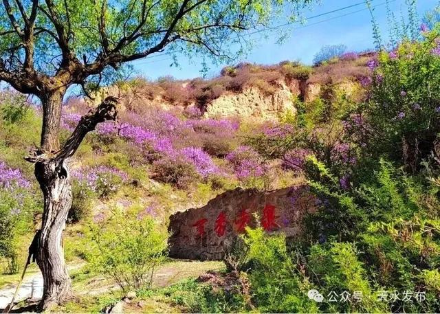 《光明日报》发布！天水这个乡镇入选！